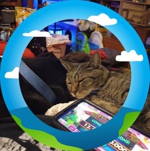 Meet your Posher, Samantha